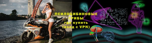 спайс Аркадак