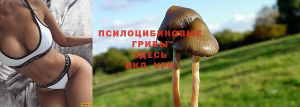 соль курить ск Армянск